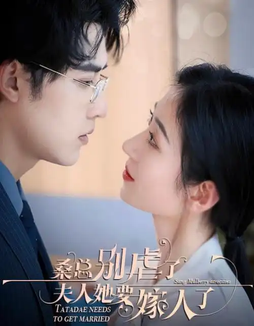 离婚后她惊艳全球 女性成长短剧海报
